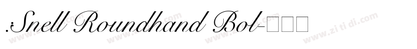 :Snell Roundhand Bol字体转换